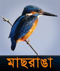 Masrangga tv